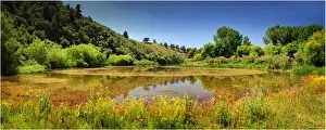 Crater lake, a smaller body of water within the nature reserve of the Blue Lake, Mount Gambier, South Australia