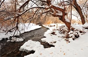 Images Dated 1st January 2010: Mill creek in Moab, with a winter fall of snow, Utah, United States