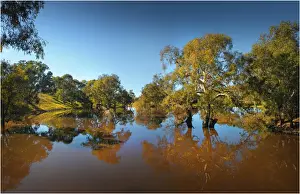 Images Dated 1st June 2011: Creek reflections at Mount Ida, Victoria, Australia