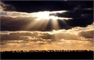 Images Dated 17th March 2011: Crepuscular light near Whitemark, flinders Island, Tasmania