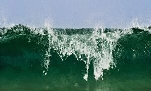 Bondi Beach Collection: Cresting Wave, Bondi Beach, Sydney, Australia