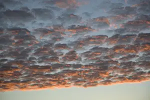 Many cumulus clouds covering the sky at dusk