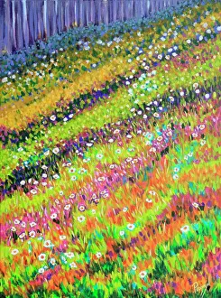 Daisies Growing on a Country Hillside Original Acrylic Painting