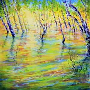 Art Collection: Dapppled Sunlight on Sea Water in Mangrove Trees Acrylic Painting