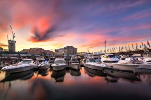 Brook Attakorn Collection: Darling Harbour sunset
