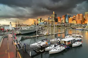 AtomicZen The Beauty Of Nature Prints: Darling Harbour, Sydney