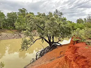 Darling River, red dirt riverbank