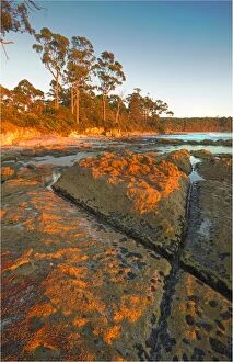 Images Dated 28th March 2011: Dawn at Adventure Bay, South Bruny Island, Tasmania