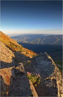 Images Dated 26th February 2011: Dawn light near the summit of Mount Buller, in the high country of central Victoria