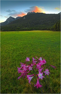 A dawn view towards Mount Strzelecki, Flinders Island, Bass Strait, Tasmania, Australia A dawn view towards Mount Strzelecki, Flinders Island, Bass Strait, Tasmania, Australia