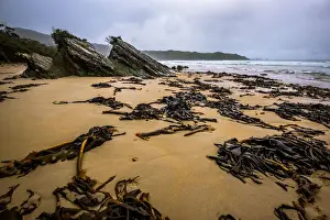 Deadmans Bay at South Coast track, Southwest Tasmania