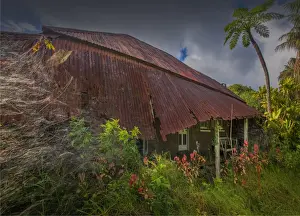 Cottage Prints: Derelict Pitcairners cottage