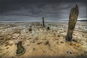 Images Dated 17th December 2013: The derelict Queensferry jetty, Western-port bay, Victoria, Australia