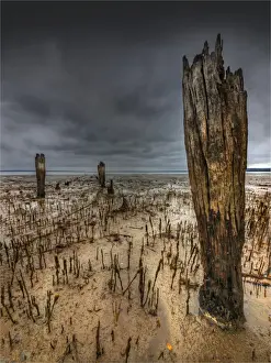 Images Dated 17th December 2013: The derelict Queensferry jetty, Western-port bay, Victoria, Australia