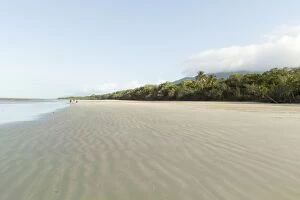 Images Dated 27th May 2014: Deserted beach and tropical rainforest, Queensland