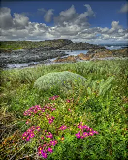 Devils Gap, a treacherous rocky coastline and reef near the Entrance to Currie Harbour on King Island Tasmania
