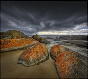 Images Dated 16th March 2013: Disappointment Bay on the northern end of King Island, bass Strait, Tasmania