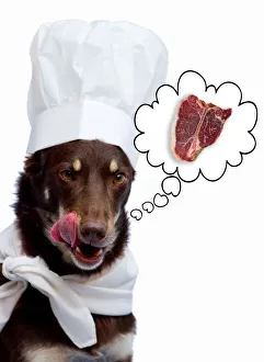 <b class=qtipBold><figcaption>Dog thinking about steak</figcaption></b><br>A dog thinking about a steak, with a chef hat and scarf on, licking lips in anticipation. Showing a speech bubble, with steak, above her head Dog thinking about steak