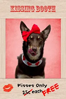 Doggie Kissing Booth