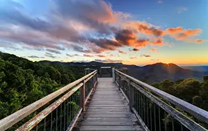Dorrigo National Park sunrise