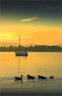 Fishing Industry Prints: Dover, a small fishing village in the south of Tasmania