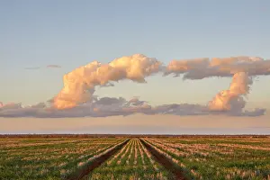 Rachel Dulson Prints: Dramatic Cloudy Skies Over Rural Queensland