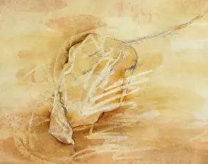 Sepia Toned Prints: Dried Leaf Mixed Media Sepia Toned Artwork