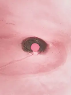 Abstract Aerial Art Prints: Drone photo looking down on a circular shape in a pink coloured salt lake