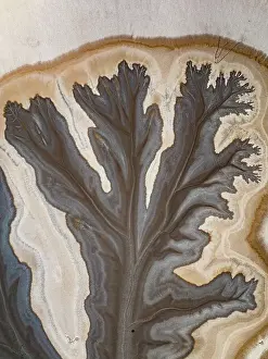 Abstract Aerial Art Prints: Drone photograph showing tributaries from the King River