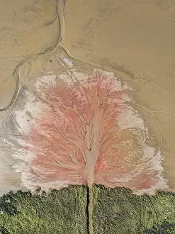 Drone shot showing an outflow of liquid into an estuary at low tide, Derby, Western Australia, Australia