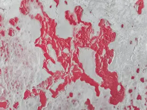 Images Dated 6th July 2023: Drone shot showing pools of water on a drying pink coloured salt lake
