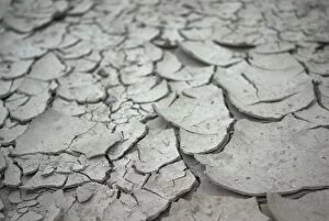 Images Dated 29th January 2015: Dry season - cracked land