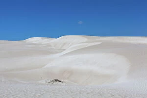 Ann Clarke Collection: Dune beauty