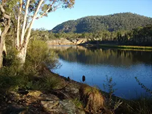 Country NSW Prints: Dunns Swamp