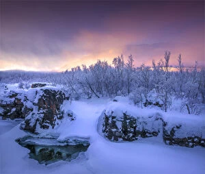 Images Dated 7th February 2017: Dusk comes over a winter scene at Abisko National park in Lapland, Sweden