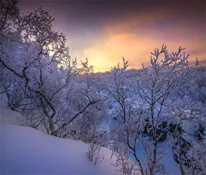 Dusk comes over a winter scene at Abisko National park in Lapland, Sweden