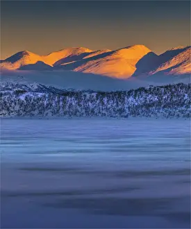 Images Dated 7th February 2017: Dusk comes over a winter scene at Abisko National park in Lapland, Sweden