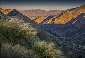 Dusk light at Castle hill, South Island of New Zealand