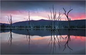 Dusk reflections at Lake Nillahcootie, central Victoria