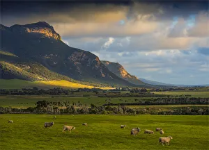 Dusk sweeps across the pastural land near Mount Strzelecki, Flinders Island, Bass Strait, Tasmania Dusk sweeps across the pastural land near Mount Strzelecki, Flinders Island, Bass Strait, Tasmania