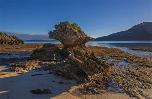 Images Dated 2nd April 2017: Early morning just after dawn at Fotheringate beach