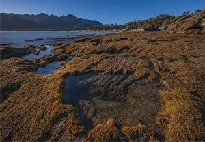 Images Dated 2nd April 2017: Early morning just after dawn at Fotheringate beach