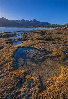 Images Dated 2nd April 2017: Early morning just after dawn at Fotheringate beach