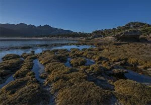 Images Dated 2nd April 2017: Early morning just after dawn at Fotheringate beach, Flinders Island, Bass Strait, Tasmania