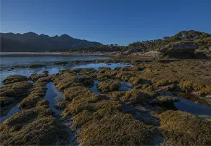 Images Dated 2nd April 2017: Early morning just after dawn at Fotheringate beach