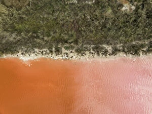 Abstract Aerial Art Collection: Edge of a forest and an orange coloured salt lake photographed from a drone point of view