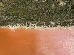 Images Dated 2023 August: Edge of a forest and an orange coloured salt lake photographed from a drone point of view
