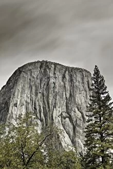 Images Dated 15th October 2009: El capitan, Yosemite national park