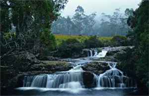 The Enchanted walk leads to Pencil Pine falls in Cradle Mountain National Park, Central Tasmania
