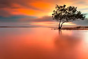 Darwin Australia Prints: Escape from Reality